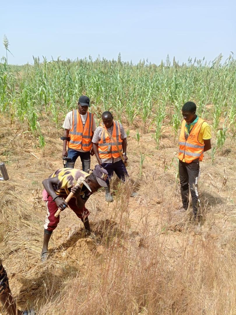 Field team logging exploration data in a standing crop area ahead of trenching.
