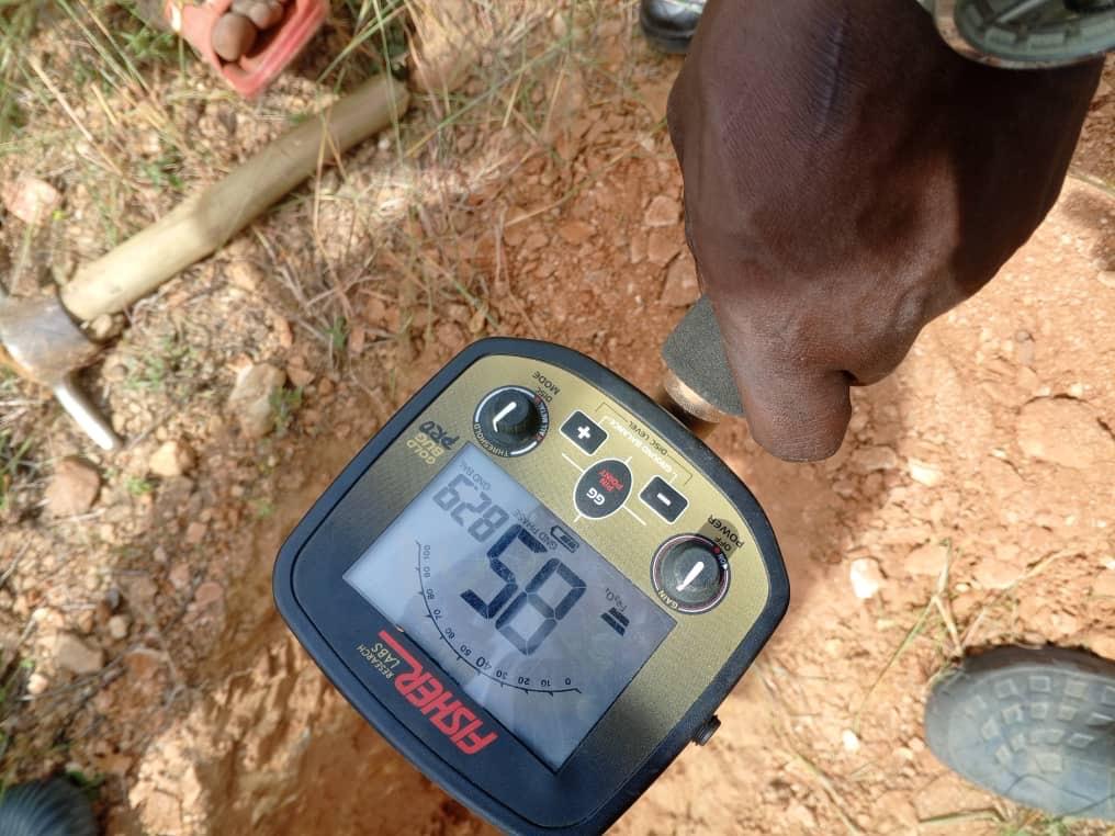 Close-up detector readout used to flag anomalies for follow-up sampling.